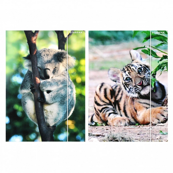 Teczka z gumką A4 Wild Animal2 559730 STARPAK